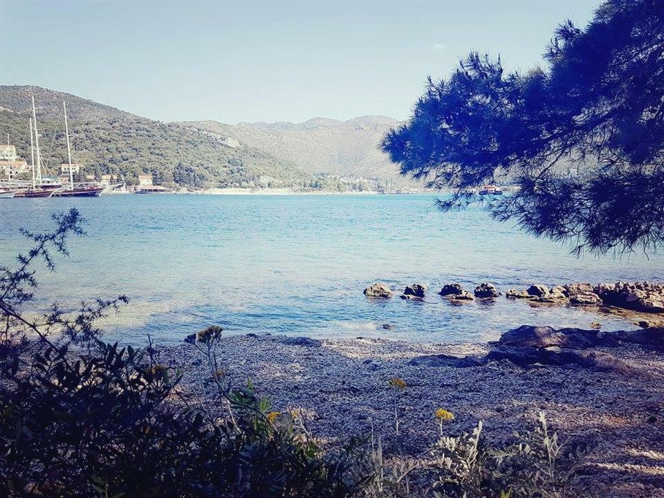 Hanas Dream Places Zaton  Εξωτερικό φωτογραφία