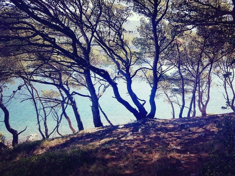 Hanas Dream Places Zaton  Εξωτερικό φωτογραφία
