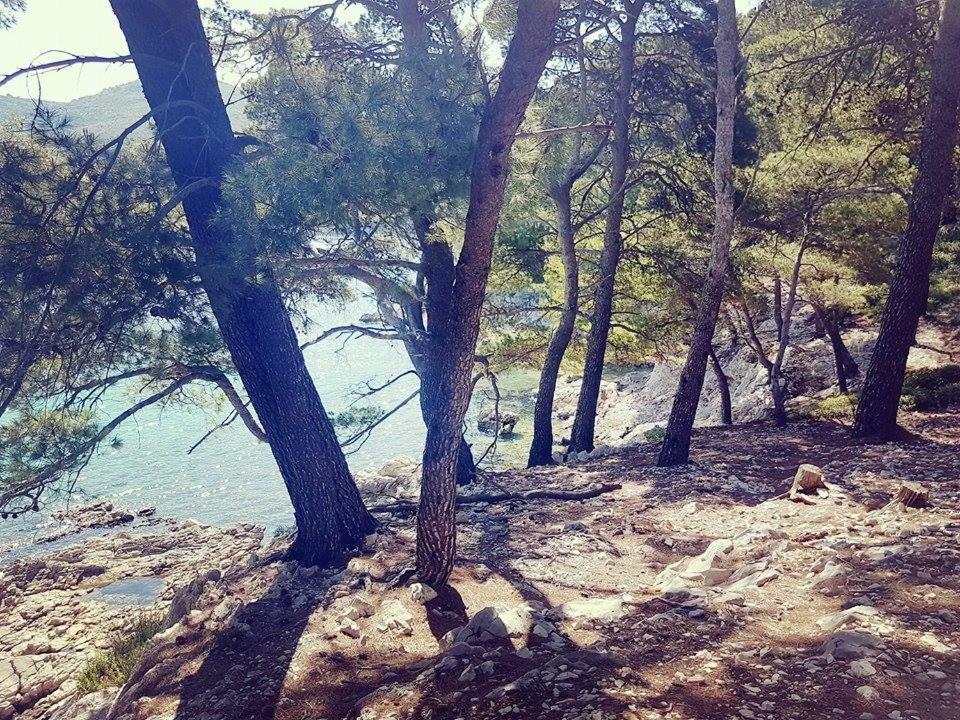 Hanas Dream Places Zaton  Εξωτερικό φωτογραφία