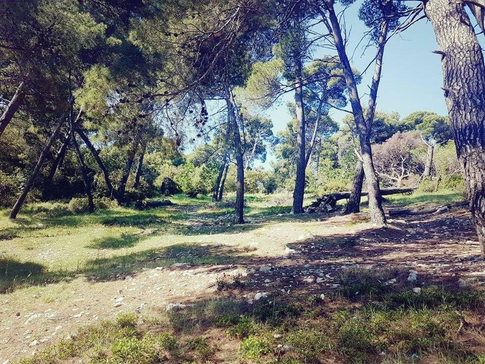 Hanas Dream Places Zaton  Εξωτερικό φωτογραφία